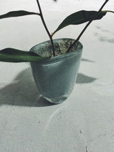 画像をギャラリービューアに読み込む, Henry Dean Flower Vase V.Julien XS : MERCURY