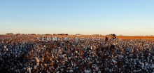 画像をギャラリービューアに読み込む, CANOÉ Ultimate Pima Organic Cotton LOOSE FIT LONG SLEEVE SWEATSHIRTS : WHITE #CS0090b
