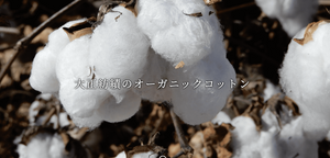 CANOÉ Ultimate Pima Organic Cotton LOOSE FIT LONG SLEEVE TUNIC : WHITE #CS0050b
