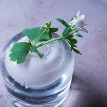 画像をギャラリービューアに読み込む, Henry Dean Flower Vase V.Edith D:8 H:10 : ECRU