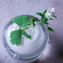 画像をギャラリービューアに読み込む, Henry Dean Flower Vase V.Edith D:8 H:10 : ECRU