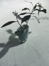 画像をギャラリービューアに読み込む, Henry Dean Flower Vase V.Julien XS : MERCURY