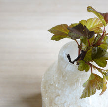 画像をギャラリービューアに読み込む, Henry Dean Flower Vase V.Barbat XS : LYNX