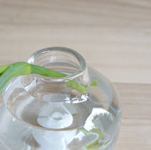 画像をギャラリービューアに読み込む, Henry Dean Flower Vase V.Femeia XS : CLEAR