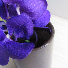 画像をギャラリービューアに読み込む, Henry Dean Flower Vase V.Cylinder : 10×13 : CUB