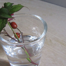 画像をギャラリービューアに読み込む, Henry Dean Flower Vase G.Potke : CLEAR