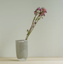 画像をギャラリービューアに読み込む, Henry Dean Flower Vase V.Joe : H16 : GRAVIER