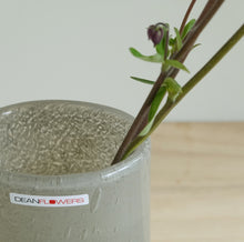 画像をギャラリービューアに読み込む, Henry Dean Flower Vase V.Joe : H16 : GRAVIER