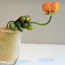 画像をギャラリービューアに読み込む, Henry Dean Flower Vase V.Julien XS : MATIN