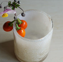 画像をギャラリービューアに読み込む, Henry Dean Flower Vase V.Cylinder 10×13 : LYNX