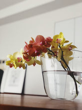 画像をギャラリービューアに読み込む, Henry Dean Flower Vase V.Mercer M : CLEAR