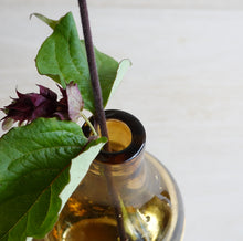 画像をギャラリービューアに読み込む, Henry Dean Flower Vase V.Venere S : COGNAC