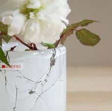 Load image into Gallery viewer, Henry Dean Flower Vase V.Akiko S : VENATO
