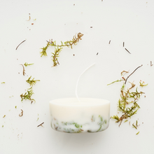 Load image into Gallery viewer, MUNIO CANDELA Soy Wax Candle：Moss 220ml
