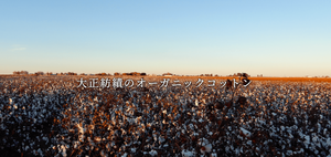 CANOÉ Ultimate Pima Organic Cotton LOOSE FIT LONG SLEEVE SWEATSHIRTS : WHITE #CS0090b