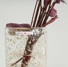 Load image into Gallery viewer, Henry Dean Flower Vase V.Joe : H16 : BIJOU
