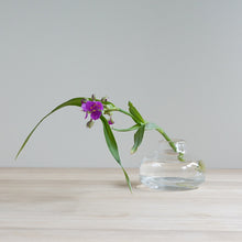 Load image into Gallery viewer, Henry Dean Flower Vase V.Femeia XS  : CLEAR
