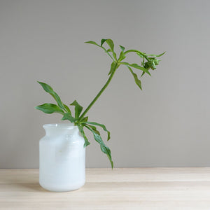 Henry Dean Flower Vase V. Bern : H16 : WHITE