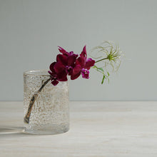 Load image into Gallery viewer, Henry Dean Flower Vase V.Cylinder 10×13 : BIJOU

