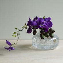 Load image into Gallery viewer, Henry Dean Flower Vase V.Femeia S : SILVER
