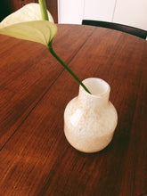 Load image into Gallery viewer, Henry Dean Flower Vase V.Barbat S : LYNX
